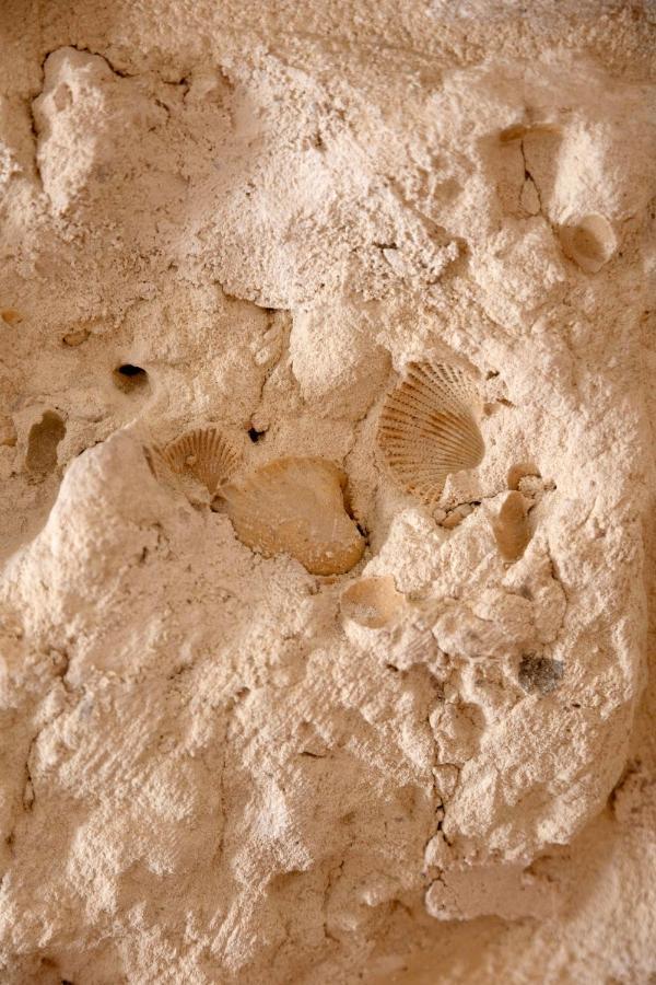 Apulian House Hotell Brindisi Eksteriør bilde